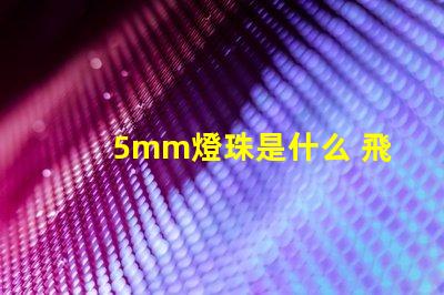 5mm燈珠是什么 飛利浦燈珠是什么品牌